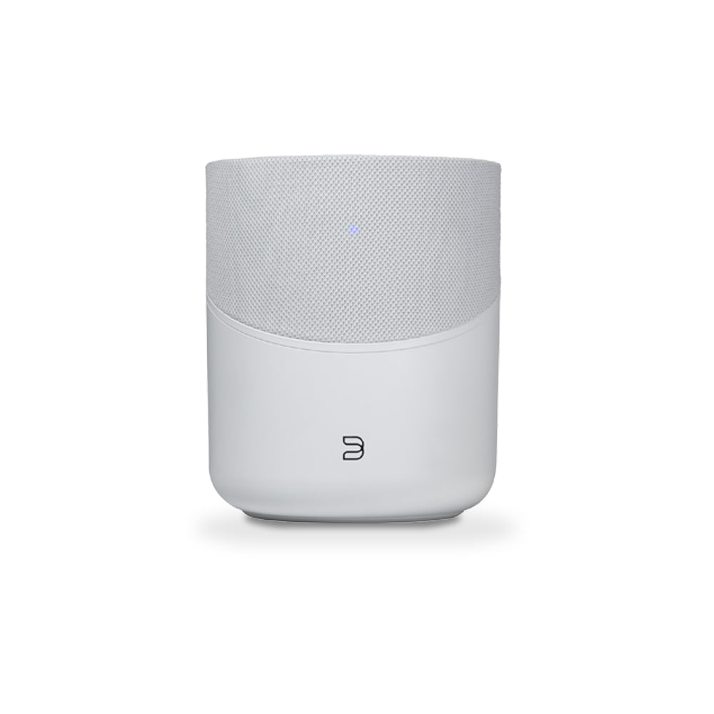 Bluesound Pulse M - Streaming Speaker